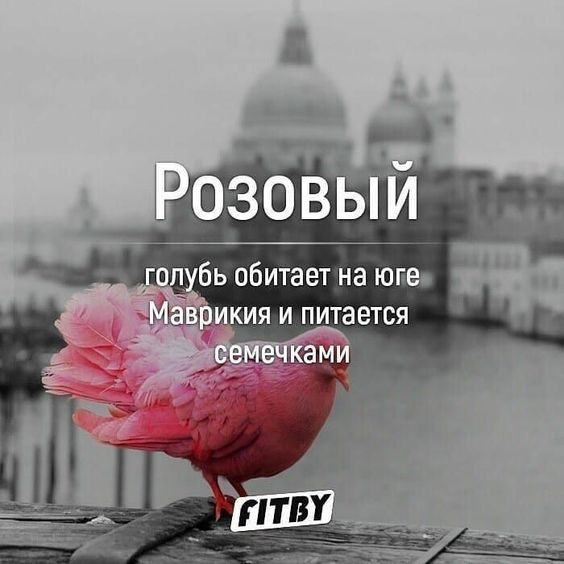 факти-бг