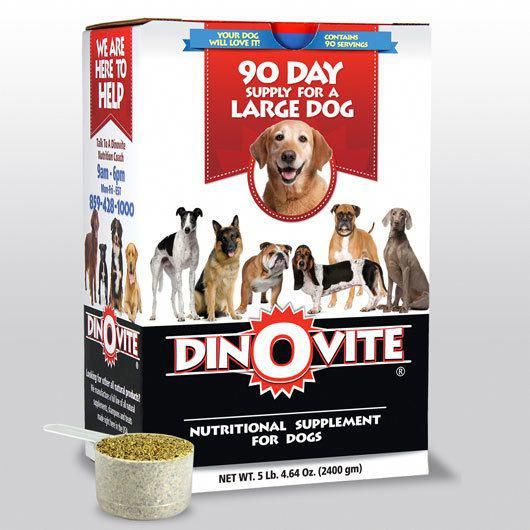 Watch Developed Homemade Dog Food Powerful Workout Tricks For