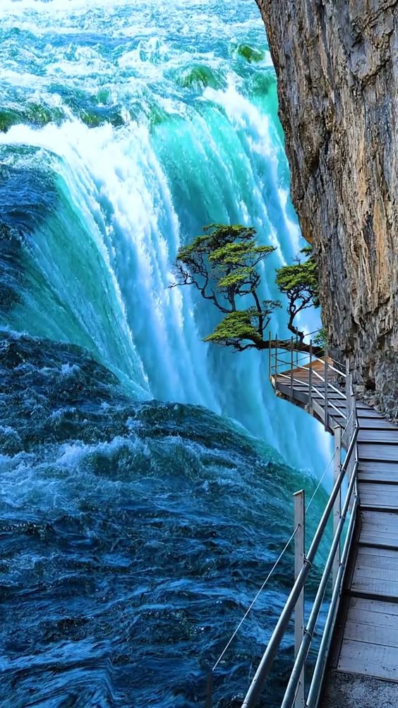 The scenery you missed, I will help you record it, when you have time to see it!