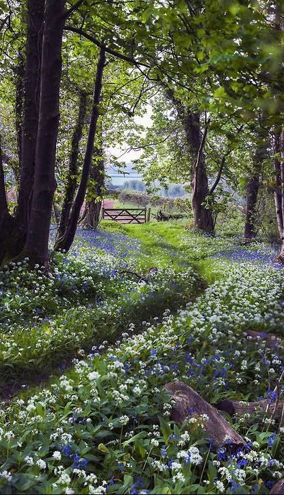 An Ode to the English Garden | By Georgia Grace