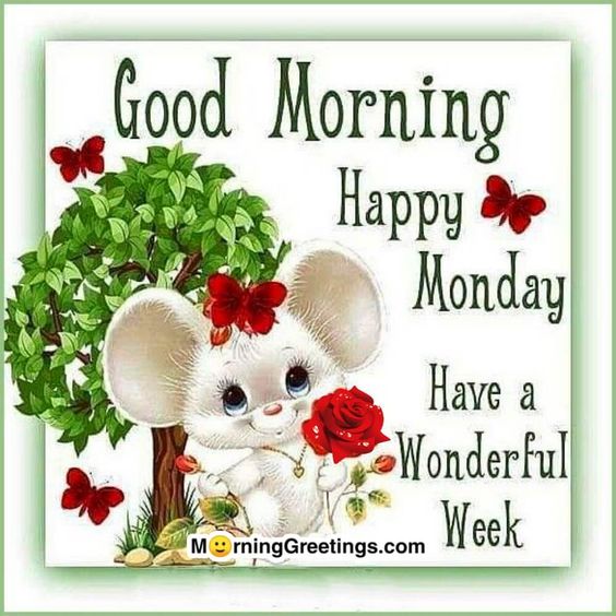 50 Good Morning Happy Monday Images - Morning Greetings – Morning Quotes And Wishes Images