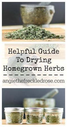 Helpful Guide To Drying Homegrown Herbs Angie The Freckled Rose Helpful Guide To Drying Homegrown Herbs Angie The Freck Herbs Types Of Herbs Edible Garden