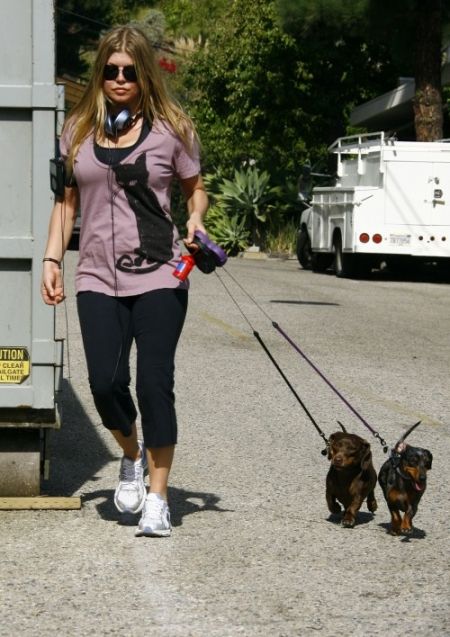 Fergie with her doxie's Meatloaf & Zoe