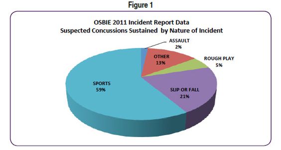 Is it as simple as a bump on the head? The truth about head - fall incident report Is it as simple as a bump on the head? The truth about head - fall incident report