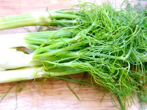 alimentos que aumentan el busto y los gluteos