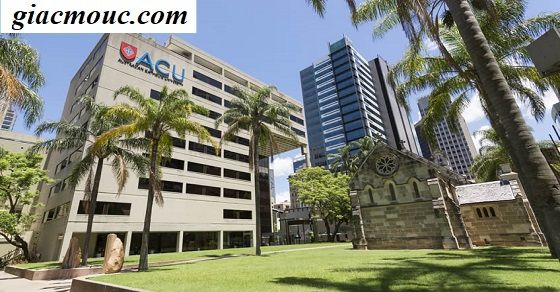 Giới thiệu về ngôi trường Australian Catholic University (ACU) D4e5de8fb20c1e7156d4059ed130935a