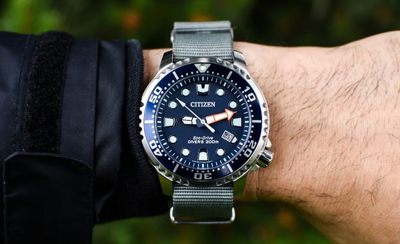Citizen Eco-Drive Promaster Diver Review | Two Broke Watch Snobs