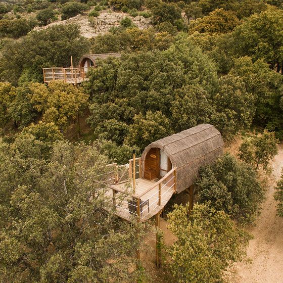 Cabañas De Monte Holiday En 2020 Comunidad De Madrid Lugares Secretos Paisajes