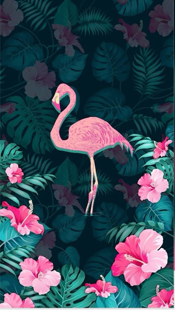 Wallpapers para o seu celular tema: Flamingos! Wallpapers de Flamingos para Celular (+10)