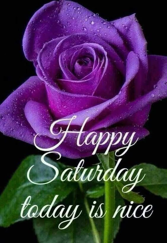 Today is nice saturday saturday quotes happy saturday saturday images