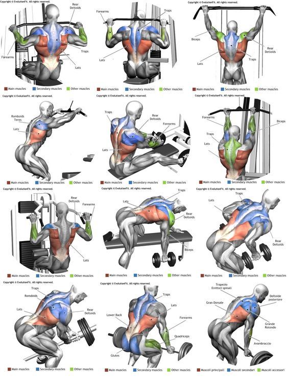 Rutina para gimnasio hombre pdf