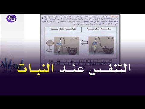 الدرس 20 19 علوم طبيعية اولى متوسط المبادلات الغازية التنفسية عند النبات الاخضر Youtube Science 10 Things Poster