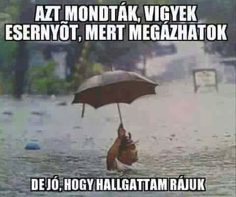 Még szerencse - nyugat krónika