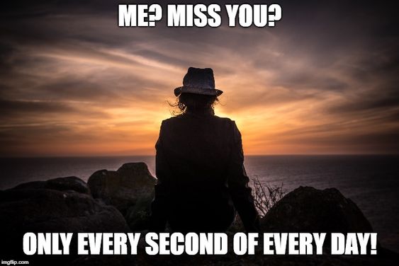 cool and funny i miss you memes for your dear partner