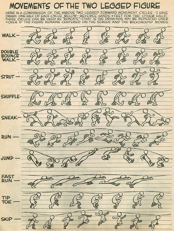Walk Cycles