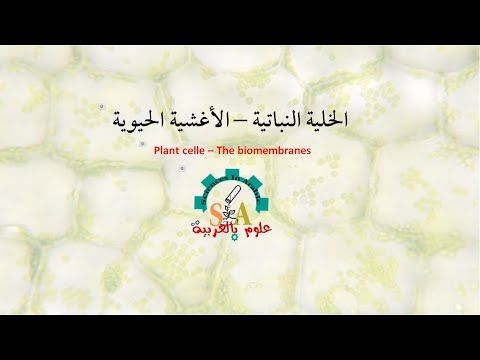 الخلية النباتية الأغشية الحيوية Arabic Calligraphy Plants Calligraphy