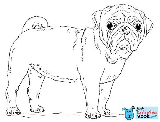 Printable Pug Coloring Page Az Coloring Pages Puppy Coloring Pages Dog Coloring Page Dog Coloring Book