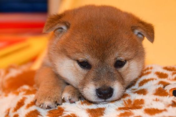 Don't be sad