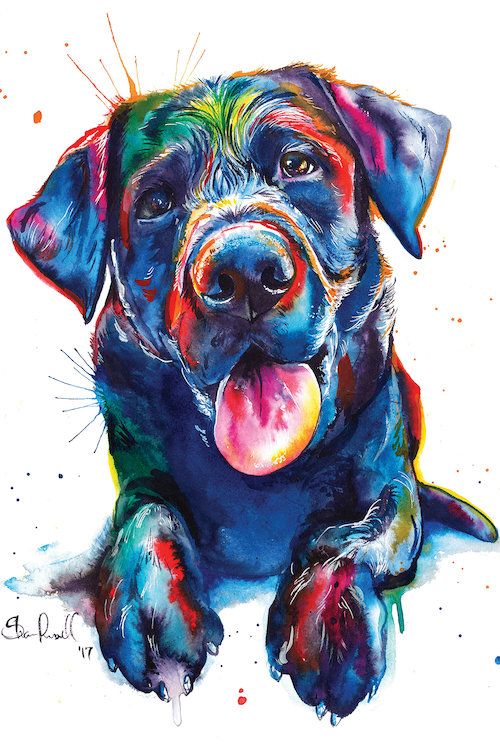 Black Labrador Retriever Dog Canvas Wall Art Print Painting Poster Animal Pet