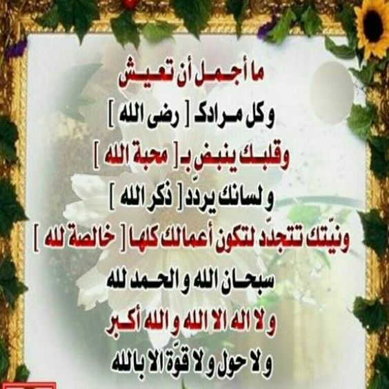 Pin By فاطمه شرف On Ftama Desserts Food Cake