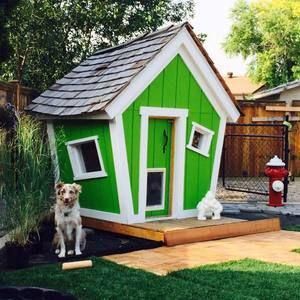 Pawsome Dogsmakemehappy Bostonterriersofig Buhiobsession