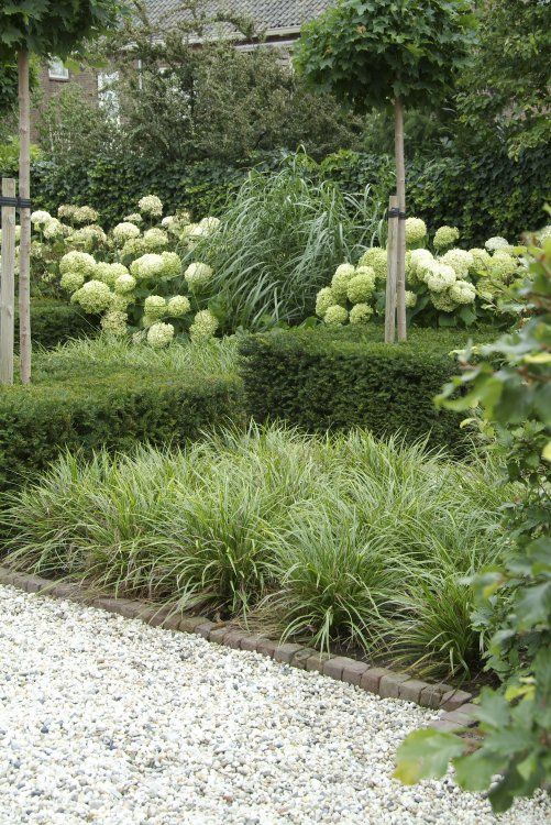 white green garden using texture for interest hydrangea ornamental grasses boxwood hedges tuin pinterest green garden gardens and small trees - Garden Design Using Grasses white green garden using texture for interest hydrangea ornamental grasses boxwood hedges tuin pinterest green garden gardens and small trees - Garden Design Using Grasses