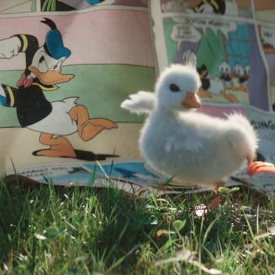 This Disneyland Paris Ad About A Duckling Who Idolizes Donald Duck Will Make You Melt Popsugar Walt Disney Characters Disneyland Paris Disneyland