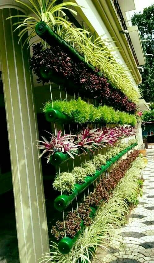 Pin By Sharityn On Jardinería Vertical Garden Design Diy Vertical Garden Design, Outdoor Vertical Garden Ideas