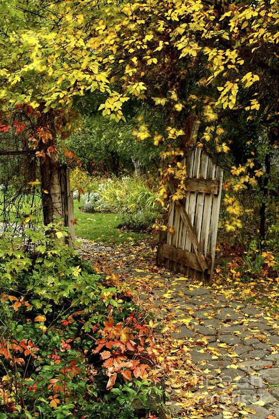 The Garden Gate Photograph - The Garden Gate Fine Art Print
