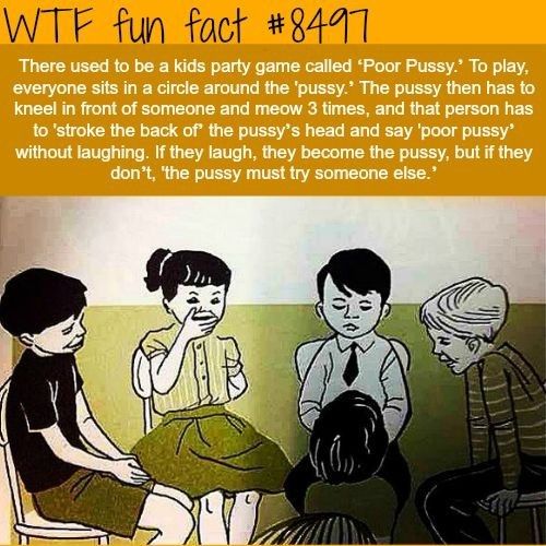 Why Just Why Fun Facts Wtf Fun Facts Funny Facts