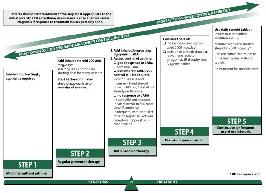 Classifying Asthma Severity u003eu003eu003e To view further for this item - sample asthma action plan Classifying Asthma Severity u003eu003eu003e To view further for this item - sample asthma action plan