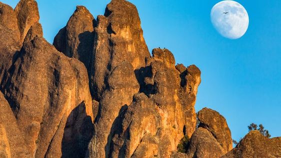 No need to RSVP: National parks begin rolling back reservation requirements after Labor Day