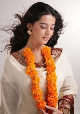 Muhammad Nadeem: Amrita rao-3