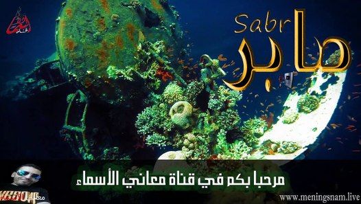 معنى اسم صابر وصفات حامل الاسم Saber Aquarium