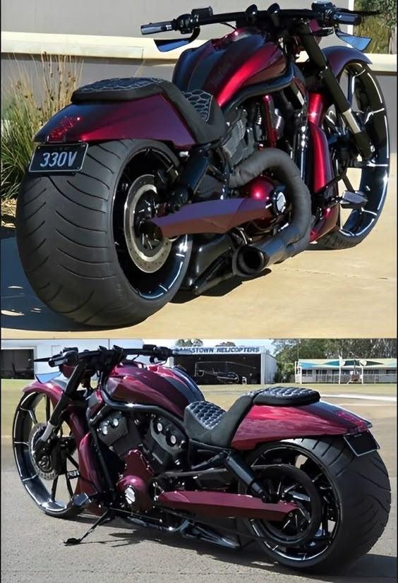 road-wheeler-dog