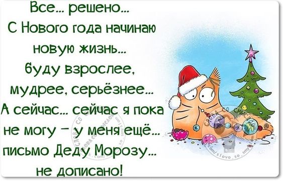Прикольные фразочки в картинках про Наступающий Новый год (25 штук)