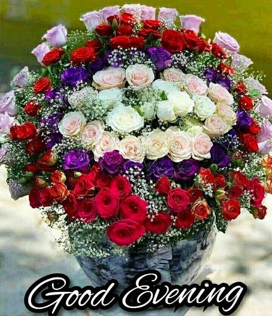 Good Evening Images For Whatsapp