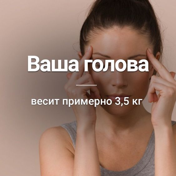 Факты