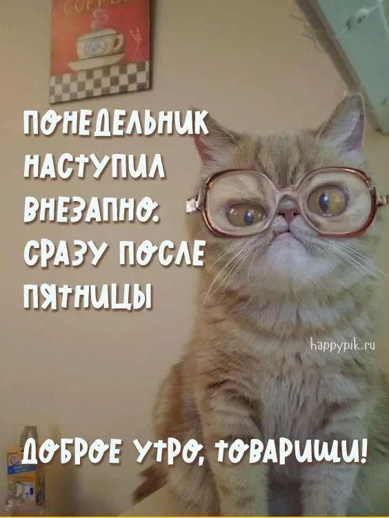 Утро Понедельника Фото Прикольные Утро Понедельника Фото Прикольные
