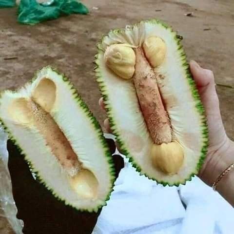 Pin By Mahmud Ur Reza On Funny Funny Posters Fruit My Sister