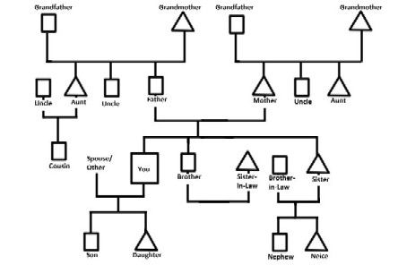 how to do a genogram