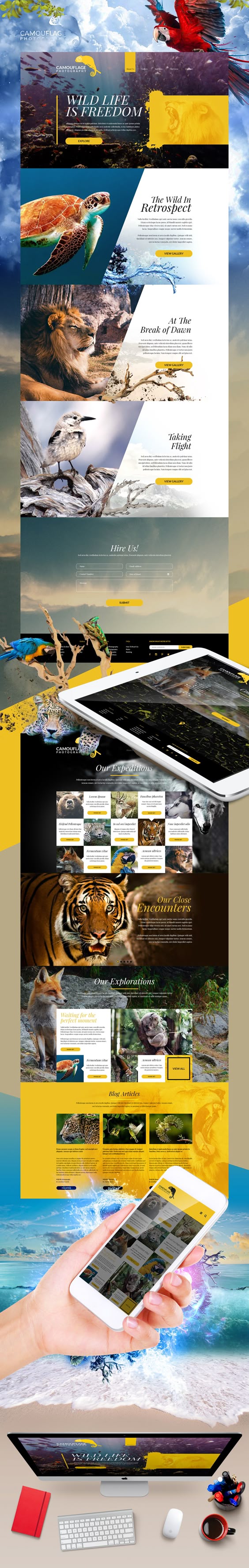 Camouflage Photography Website on Behance