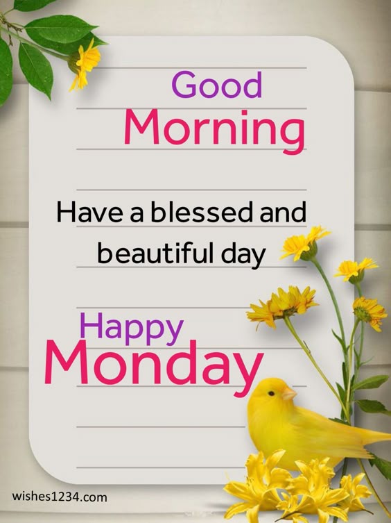 100+ Monday Quotes | Monday Motivation