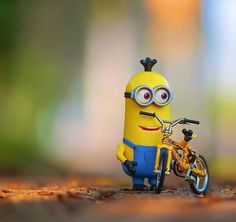 minion-4k-hindi