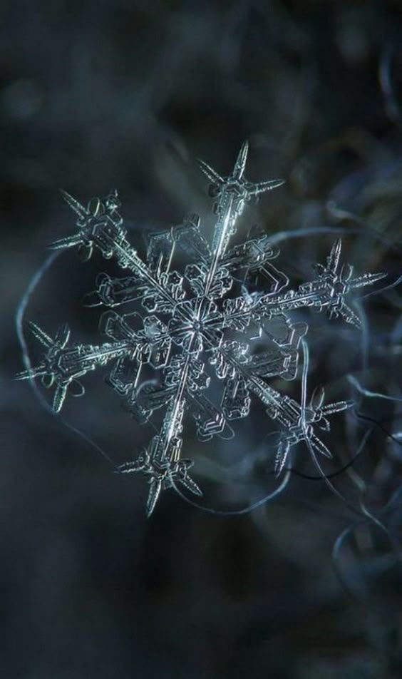 Mother Nature Seldom Disappoints (26 Photos) - Suburban Men