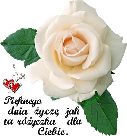 Wiersze,Gify Na Dzień Dobry ...: Gify Pięknego dnia