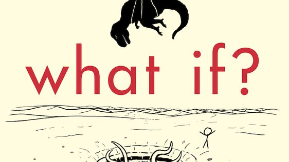 Resultado de imagen de what if?