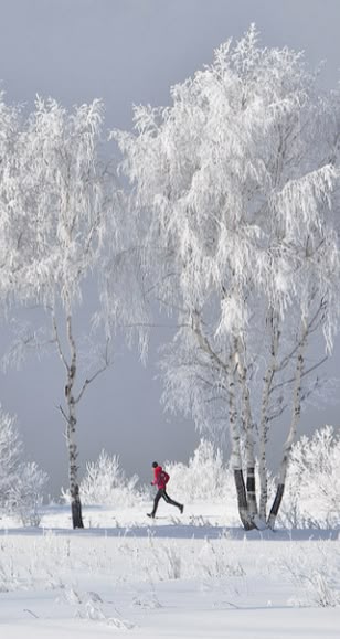 Are you ready for winter wonderland?