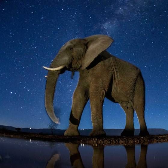 Here Are World Press Photo\'s Best Nature Images
