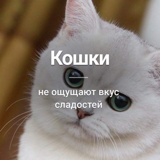 факти-бг
